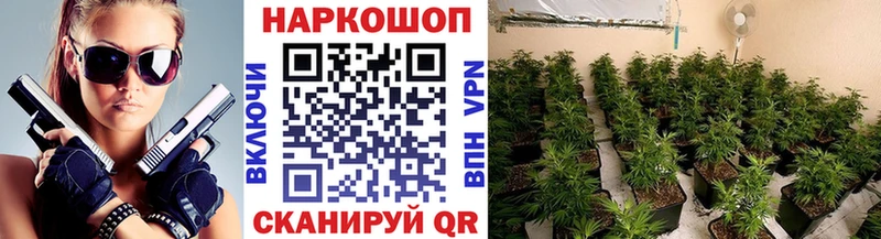 Купить наркотики цена Луза Псилоцибиновые грибы  Альфа ПВП 