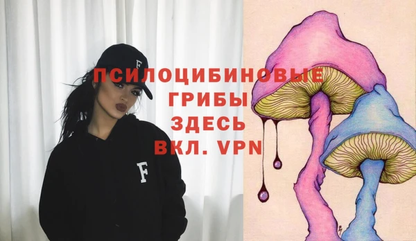 МДПВ Алексеевка