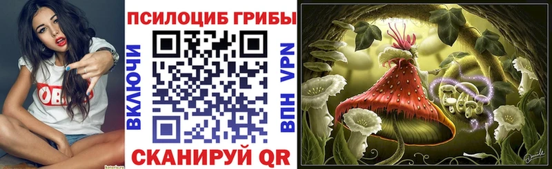 blacksprut ссылки  Луза  Псилоцибиновые грибы мухоморы  купить  
